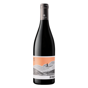 VIN ROUGE EN PASSANT - DOMAINE GAYDA